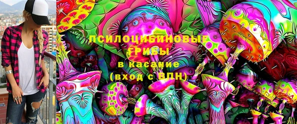 МДПВ Зерноград